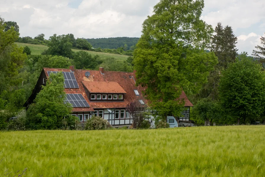 Forsthaus im Grünen