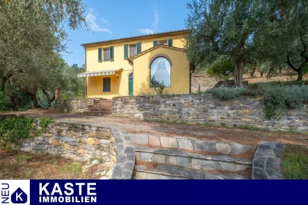 Titel - Haus kaufen in Vicopisano - Entdecke die Magie der Toskana: modernisiertes Landhaus mit Olivenhainen