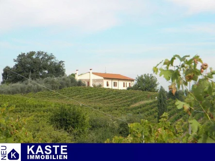 Titel - Haus kaufen in Selvatelle - Weingut und Landhaus in der Region Toskana