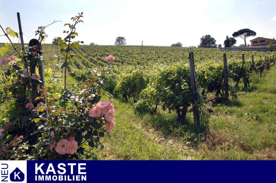 Titel - Haus kaufen in Montaione - Immobilienkomplex mit Weingut in der Toskana mit Trüffelgebiet und Wildgehege