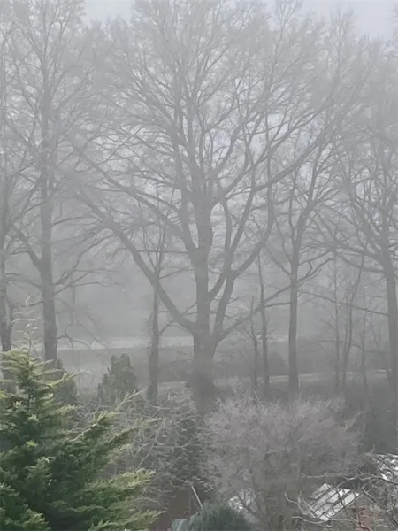 Winter-Blick vom Balkon auf den Kanal