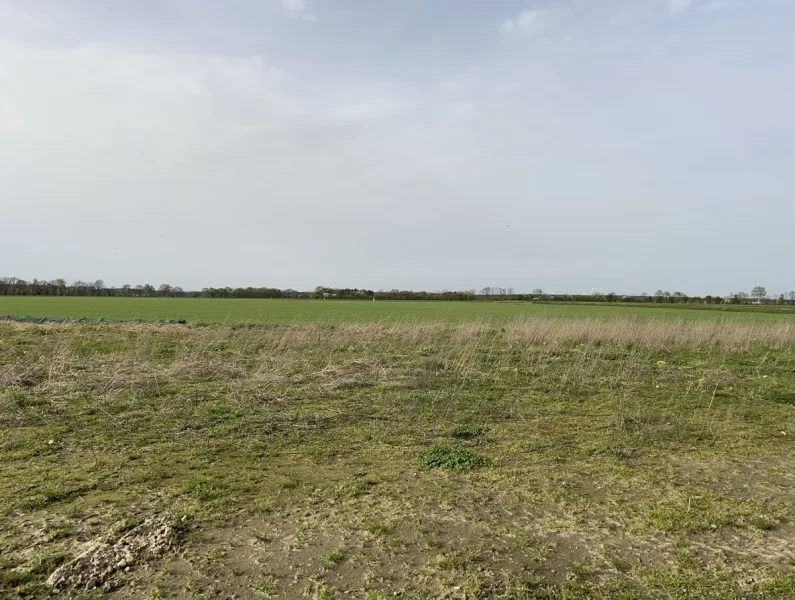 Grundstück mit tollem Ausblick - Grundstück kaufen in Weyhausen - Lage, Lage, Lage! Besonderes Grundstück in idyllischer Lage - nur 10 Minuten bis zum Volkswagenwerk