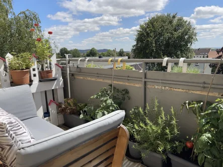 Herrlicher Ausblick vom Balkon und das mitten in Wolfenbüttel - Wohnung kaufen in Wolfenbüttel - 3 Zimmerwohnung mit Balkon und tollem Ausblick in begehrter Lage von Wolfenbüttel!