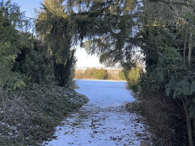 Blick in den Garten