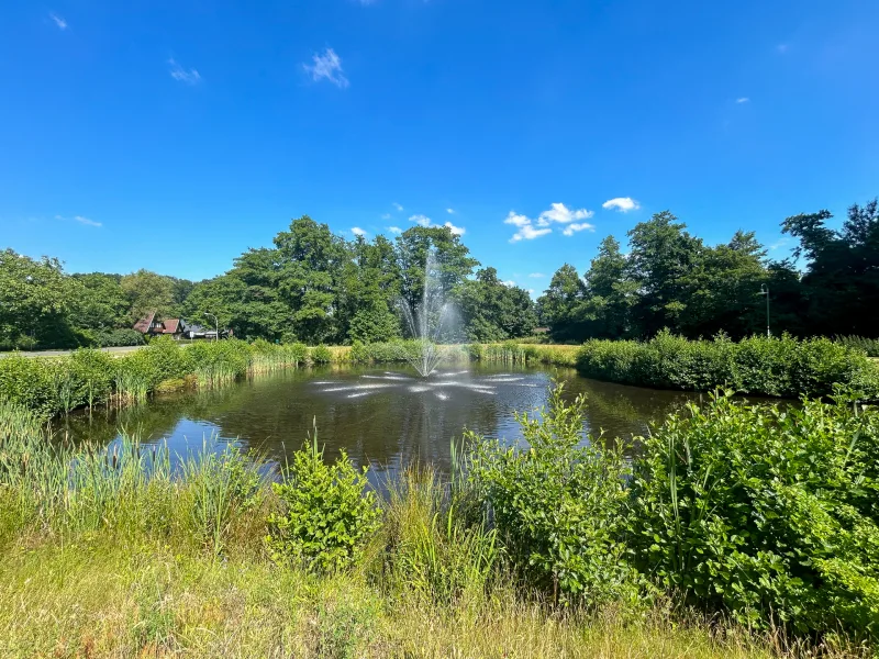 Teich in direkter Nähe