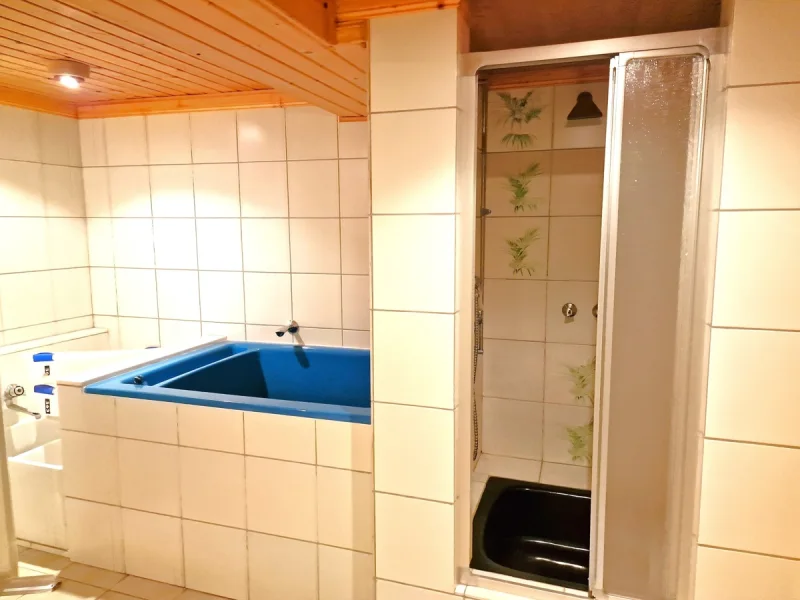 Sauna mit Dusche