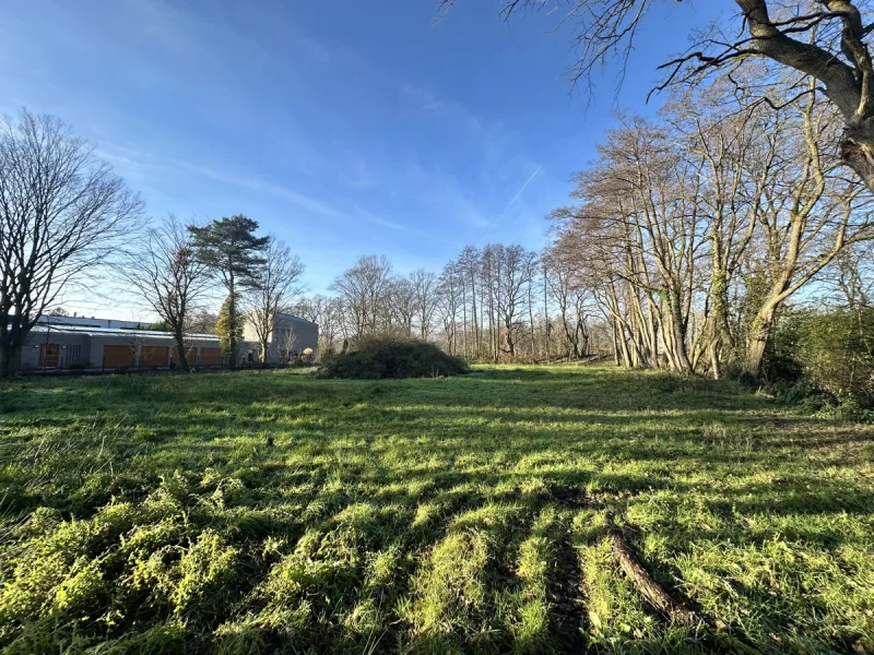 Baugrundstück - Grundstück kaufen in Oldenburg - 3.000 m² Traumgrundstück am Achterdiek