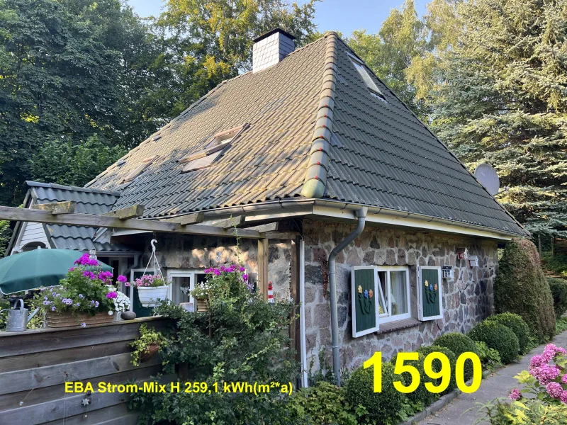 Ansicht  - Haus kaufen in Heringsdorf - OSTSEE-Kauf/Heringsdorf/Kleinod gepfl. EFH /ca. 94 m² Wohnfl. / Naturgrundstück 2.793 m² / sofort frei / 225.000 EUR