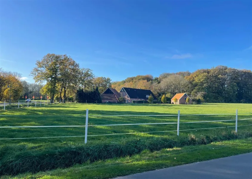 Traumhafte Naturlage - Haus kaufen in Halle b Neuenhaus, Dinkel - Resthof in reizvoller Naturlage - 2021 renoviert!