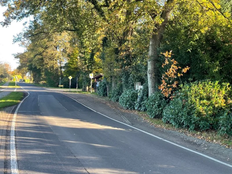 Bushaltestelle, in unmittelbarer Nähe