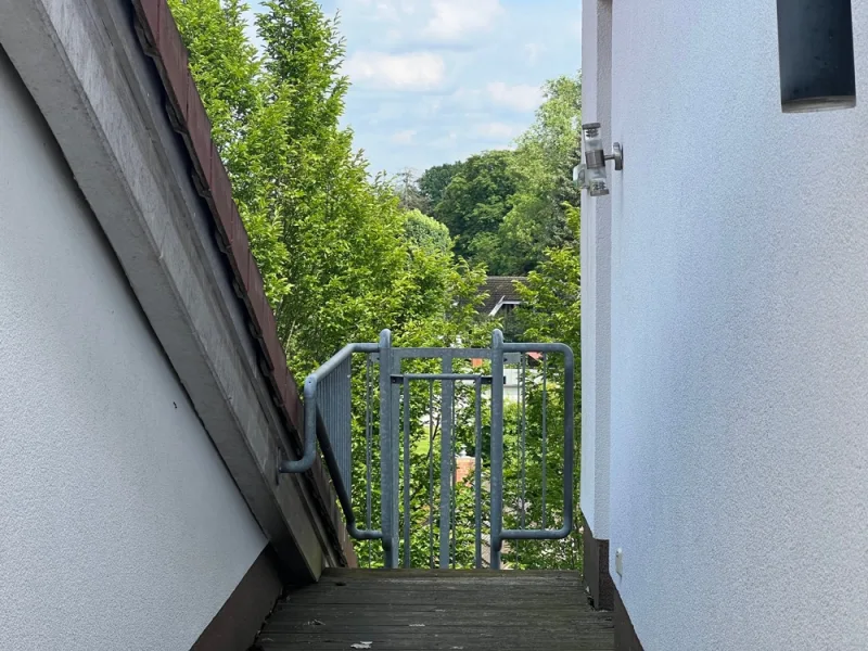 Terrasse OG rechts in den Park