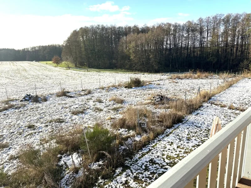 auf dem Balkon - Haus kaufen in Mirow - Luxus und Natur in perfekter Harmonie erleben!