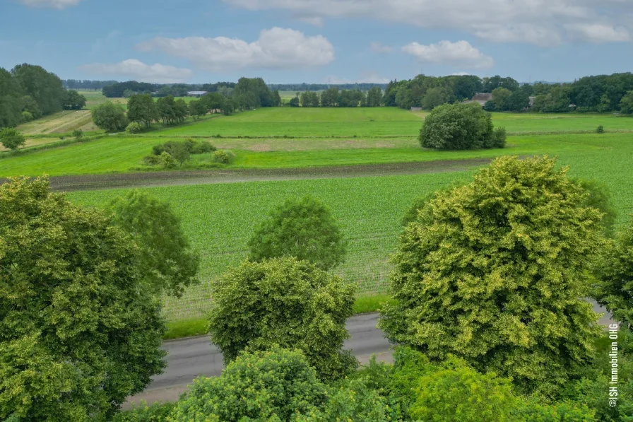 Ausblick ins Grüne