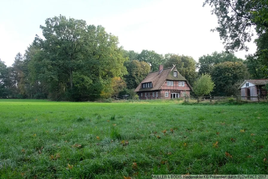 Blick von der Hausweide