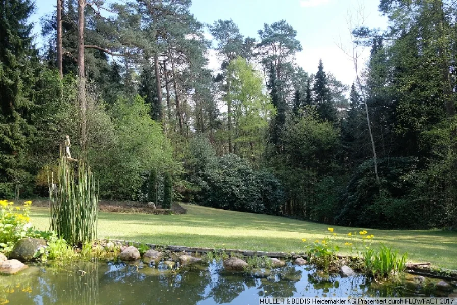 Blick gen Süden in den Garten