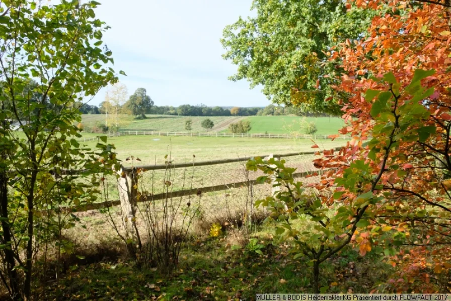 Blick gen Süden