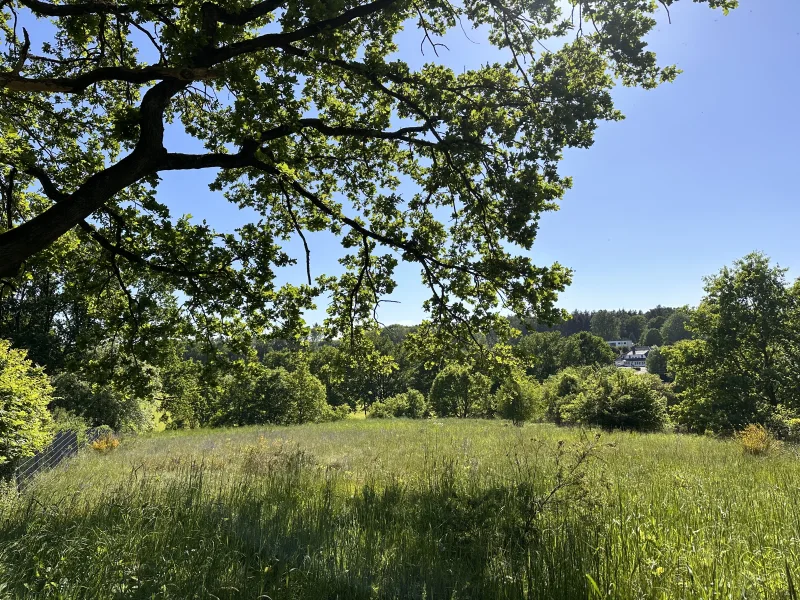  - Grundstück kaufen in Seevetal - Baugrundstück in Bestlage mit Weitblick in Hittfeld Waldesruh