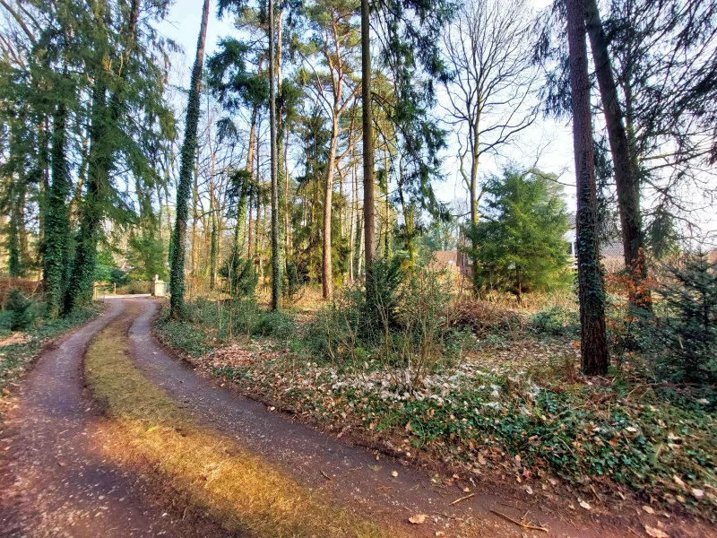  - Grundstück kaufen in Buchholz - Großartiges Naturgrundstück in ruhiger Lage von Holm-Seppensen