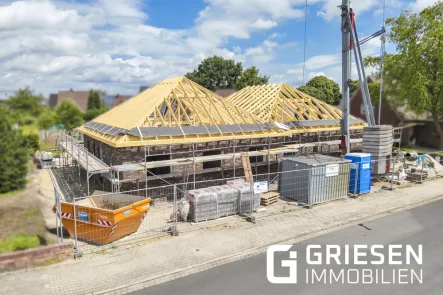  - Haus kaufen in Haren / Altharen - ERSTBEZUG: Zuhause ankommen! Neubau - Haushälfte (Bungalow) in ruhiger Lage von Haren! *Provisionsfrei für den Käufer!