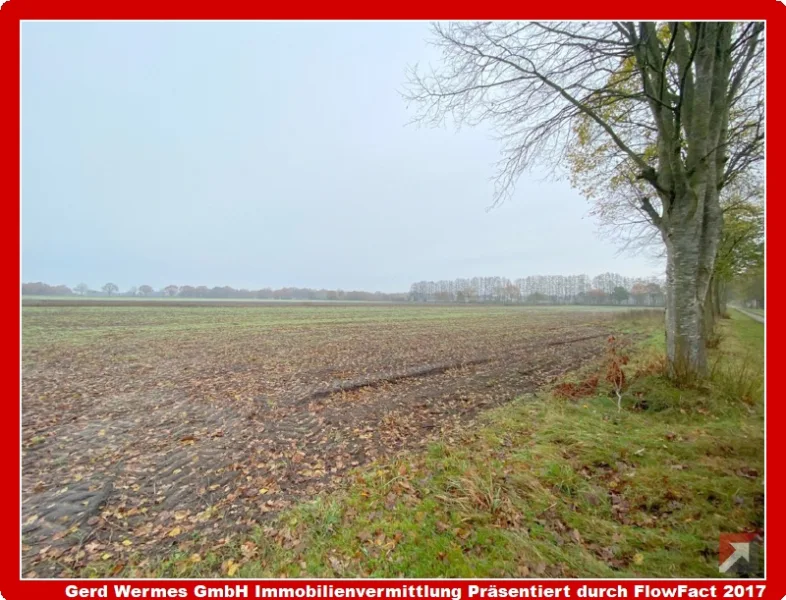 Ansicht - Grundstück kaufen in Rhede - Ca. 1,9 ha Ackerfläche in Rhede zu verkaufen