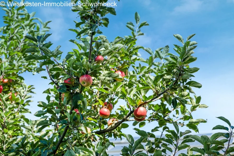 Obstbäume