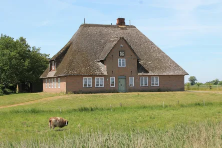  - Haus kaufen in Galmsbüll - Reetdach Anwesen in idyllischer Lage von Galmsbüll