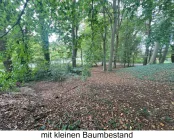 Baumbestand