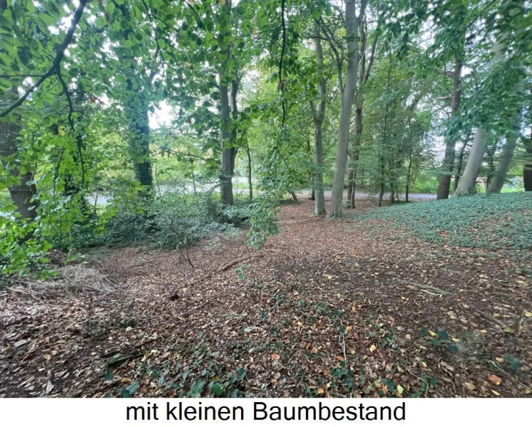 Baumbestand