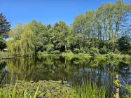 Blick zum großen Teich, Ansicht 2