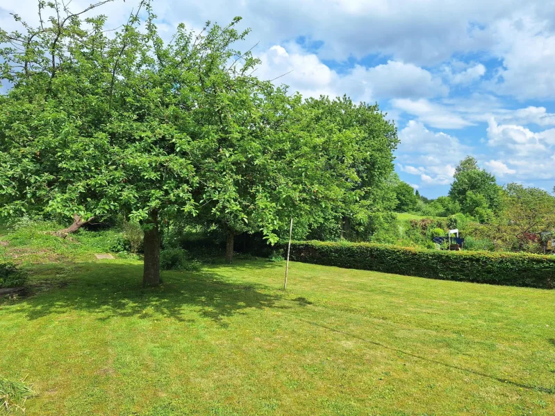 Blick in den Garten mit altem Baumbestand