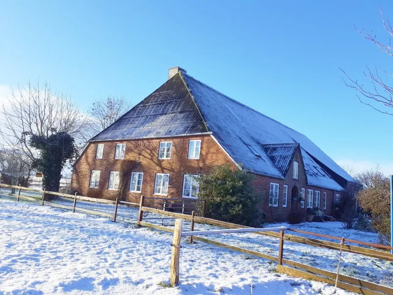 Blick von der Koppel im Winter