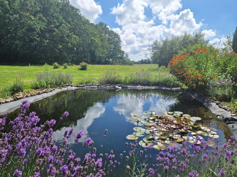 Traumhafter Garten mit Gartenteich in Feldrandlage