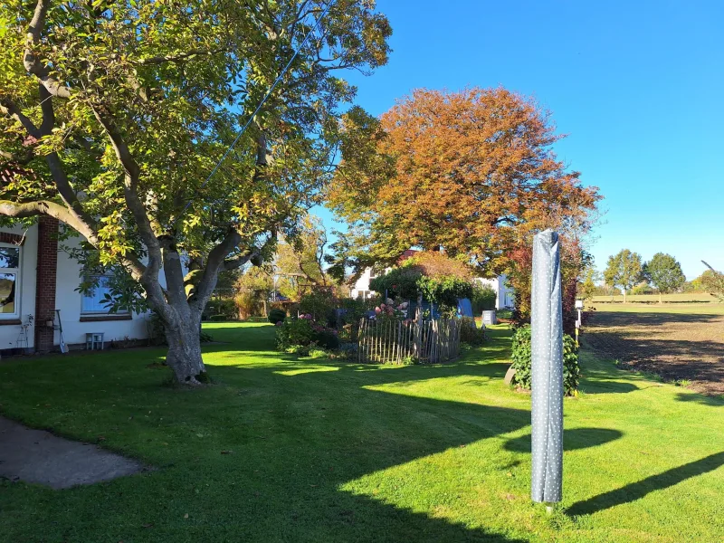 Alter Baumbestand im Garten