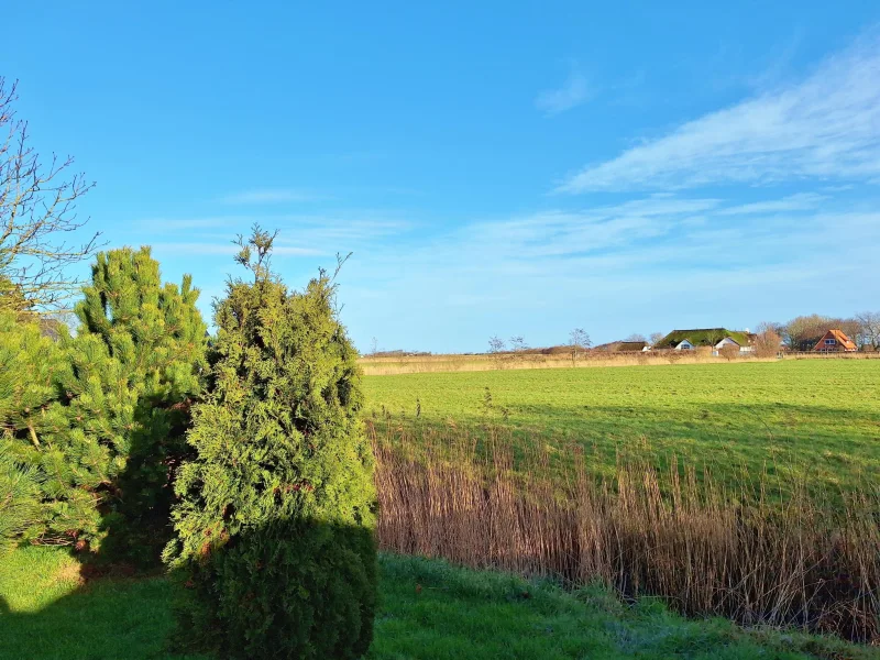 ...mit freiem Blick in die Natur