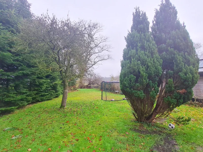 Blick in den Garten hinter dem Haus