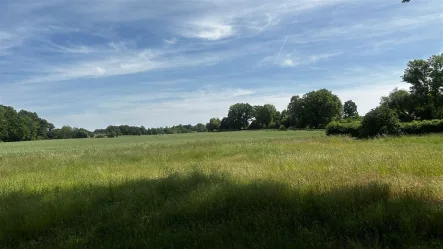 Baugrund mit Weitblick gen Südosten - Grundstück kaufen in Salzhausen , Lüneburger Heide - Großes Grundstück, sehr viele Möglichkeiten, weiter Blick!