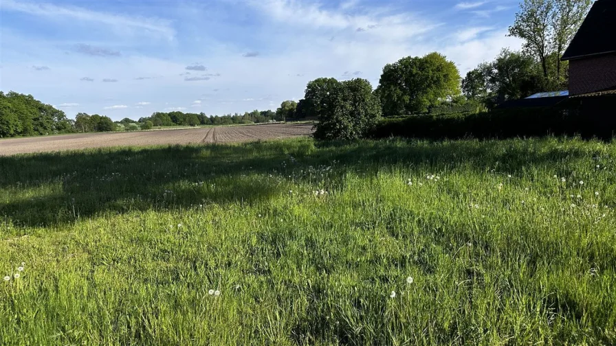 Hecke am südlichen Rand besteht (Nicht Verkauf)