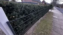 Zaun und Hecke zur Strassenseite im Norden