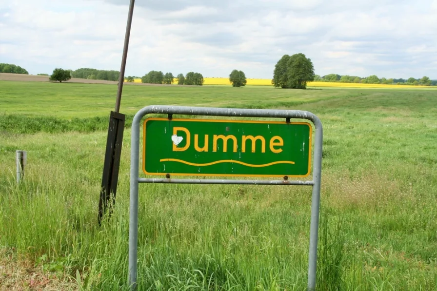 Dumme-01