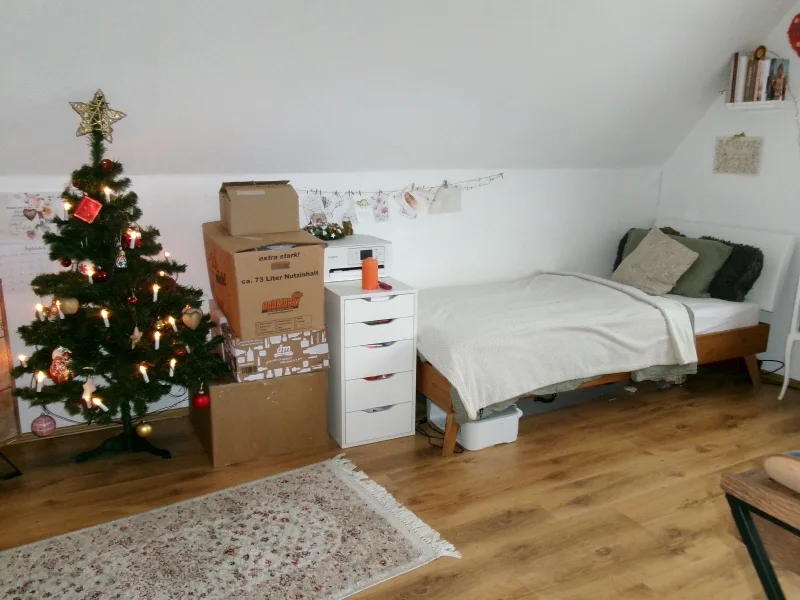 Wohn-Schlafzimmer (2)