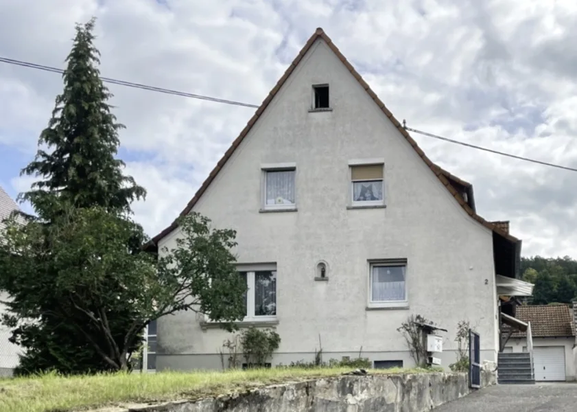 Ansicht - Haus kaufen in Haibach - Viel, viel Platz!