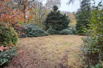 Blick in den Garten und anschließenden Wald