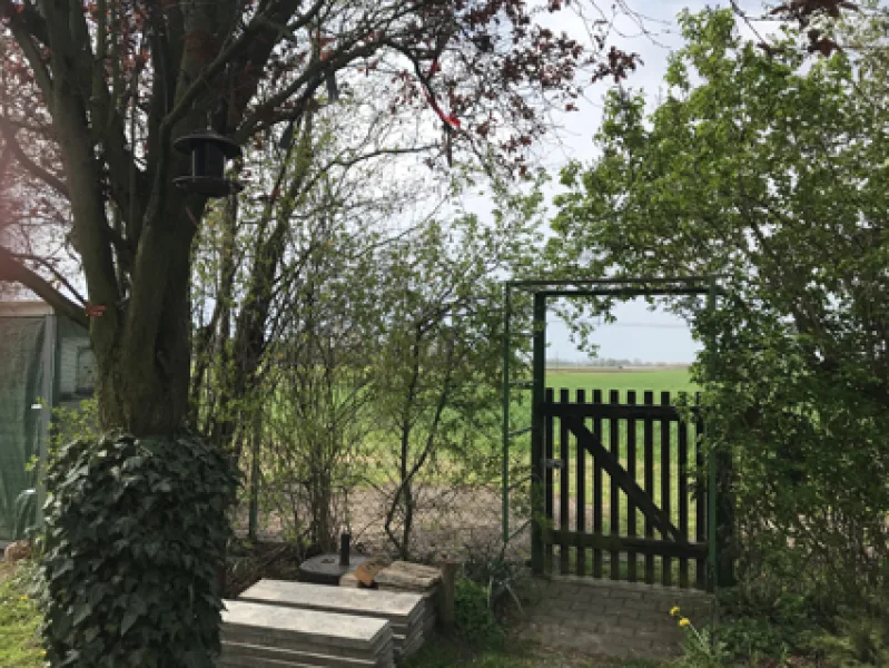 Blick vom Garten - Haus kaufen in Doberlug-Kirchhain - Preiswert in ländlicher Lage ...