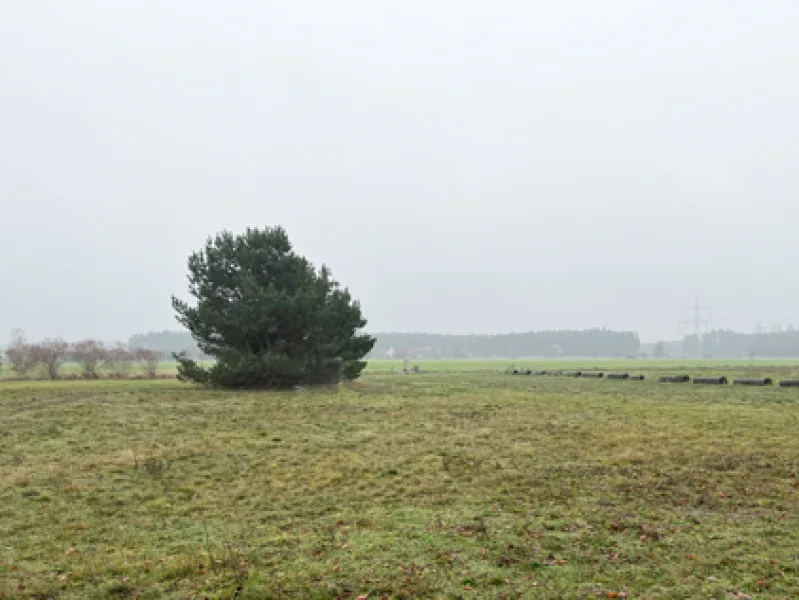 Blick vom Grundstück - Haus kaufen in Doberlug-Kirchhain - Freistehendes Einfamilienhaus mit Garage