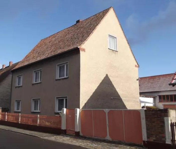 Straßenansicht - Haus kaufen in Plessa - Kaufpreissenkung! - Viel Platz im eigenen Heim