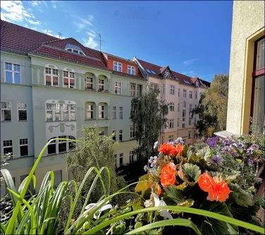 Ausblick aus Loggia / Wintergarten - Wohnung kaufen in Berlin - Altbau-Flair zum richtig Wohlfühlen!