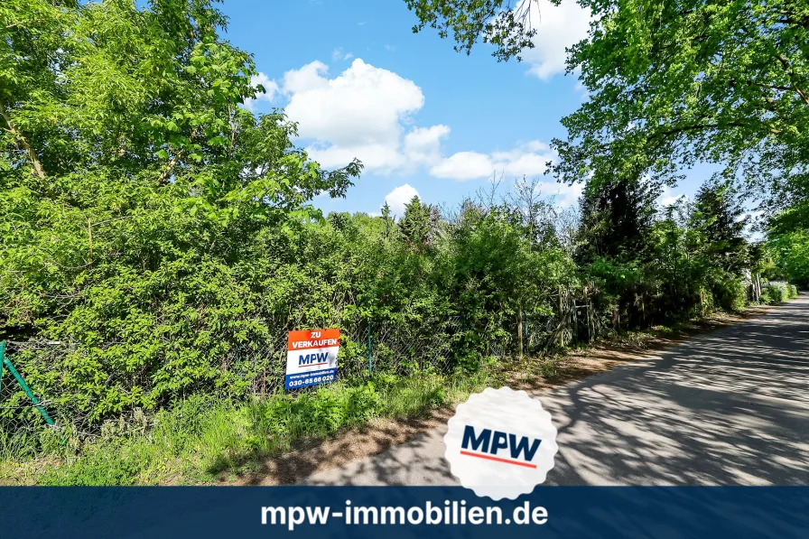 Blick auf das Grundstück  - Grundstück kaufen in Berlin - Dornröschenschlaf: Verwunschenes Grundstück in Köpenick wartet auf seinen Prinzen