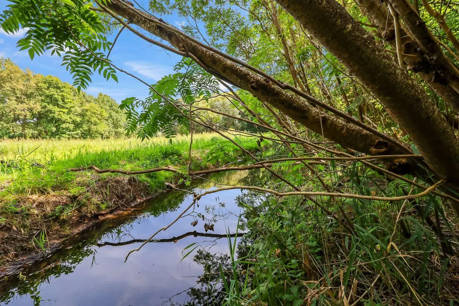 Kanal am Grundstücksende