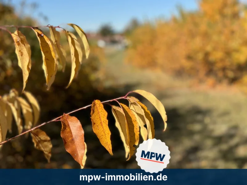 Detail - Grundstück kaufen in Königs Wusterhausen - Wow - Riesiges Grundstück in Zeesen: Natur, Idylle und Berlin-Nähe