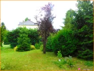 im Garten